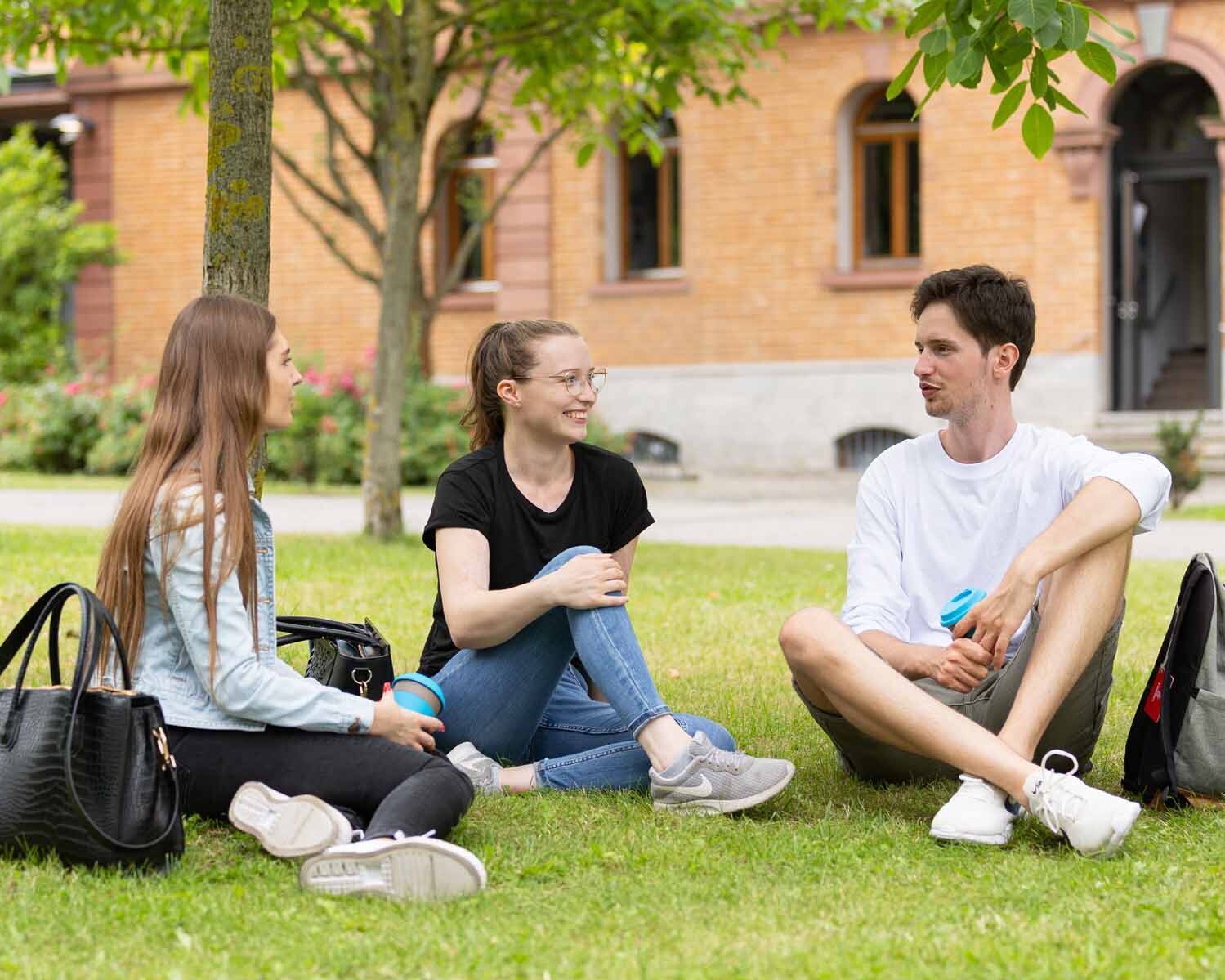 Drei Studierende sitzen auf der Campus Wiese und unterhalten sich