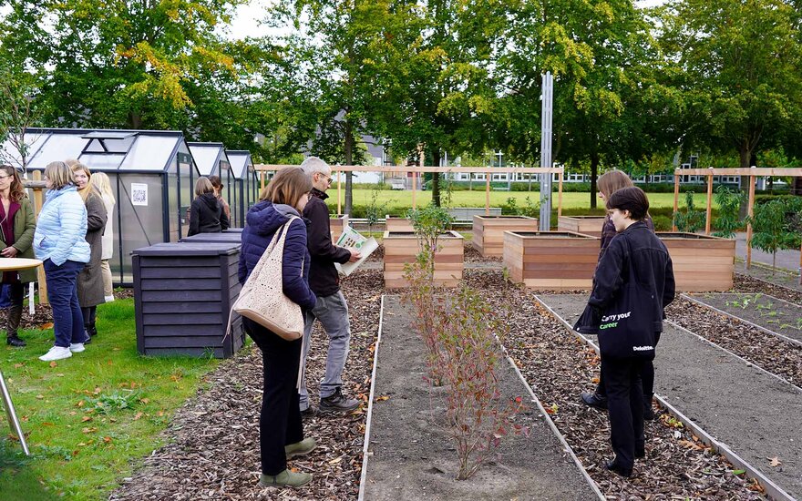 Vier Personen stehen neben einem Tiefbeet und schauen sich die eingepflanzten Sträucher an.