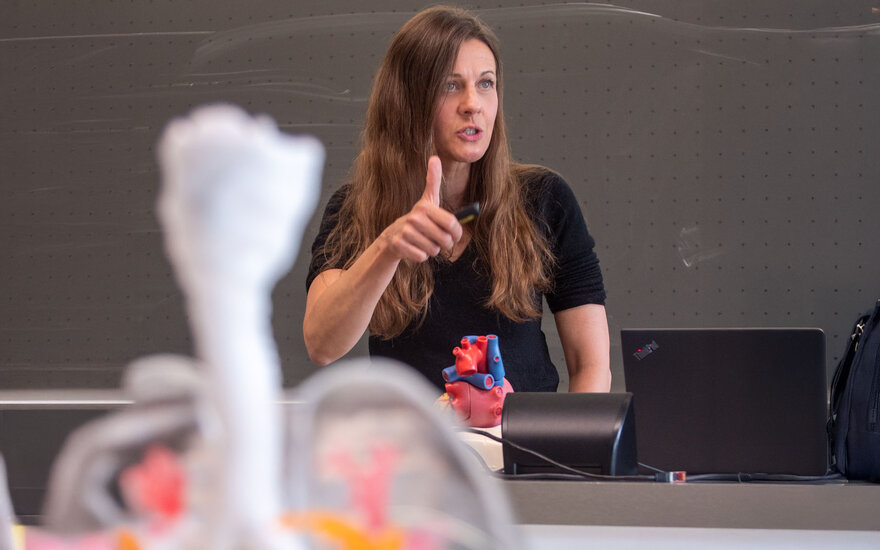 Professorin Bianca Weigand während einer Vorlesung mit einem Herzmodell
