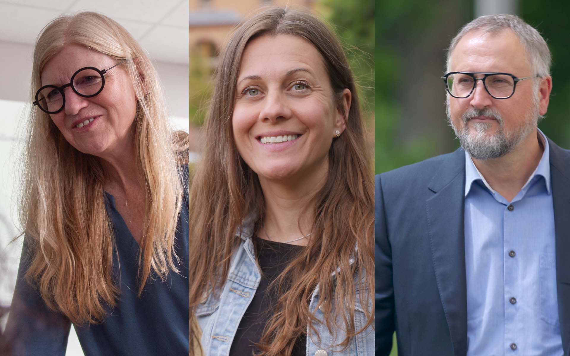 Bilder von drei Professoren der TH AB. Von links nach rechts: Barbara Sprick, Bianca Weigand, Lars Schöne